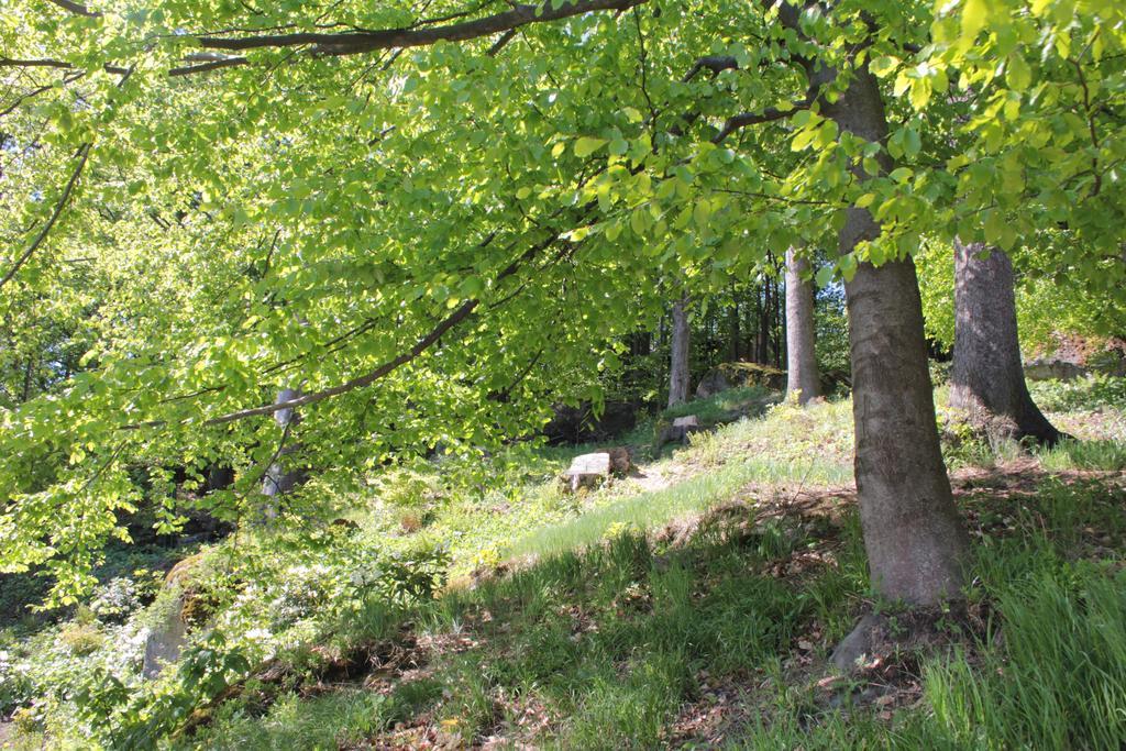 Asika Villa Josefův Důl Eksteriør bilde